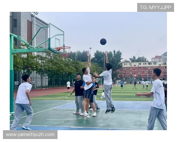 半岛体育全站：聚焦青少年体育培养与校园体育活动推广