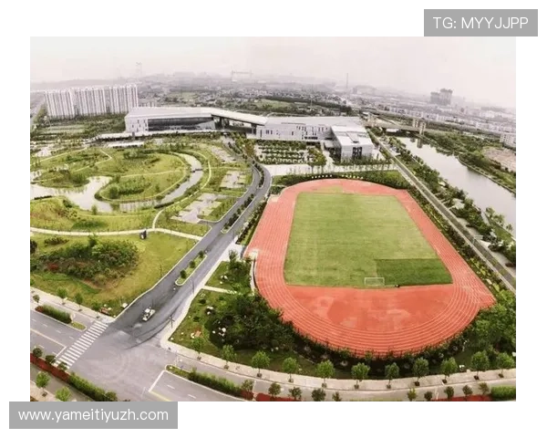 如何快速安全地下载体育a8应用程序,实现随时随地观看体育赛事的需求